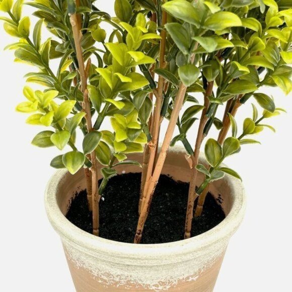20” Faux Boxwood in Terracotta Pot Green - Threshold Studio McGee - Target 2022 - Picture 8 of 10